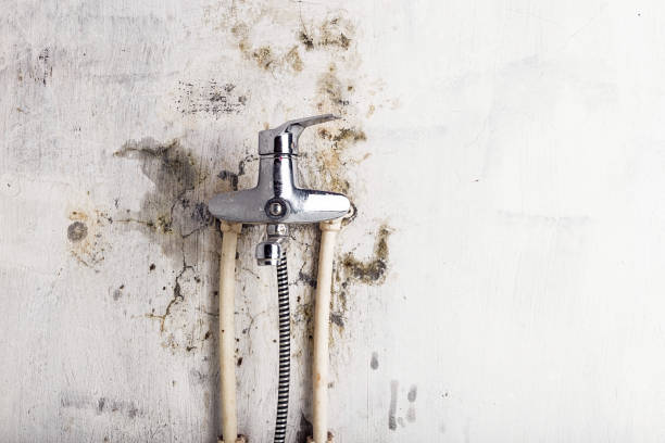Best Water Damage Restoration  in Winterville, GA