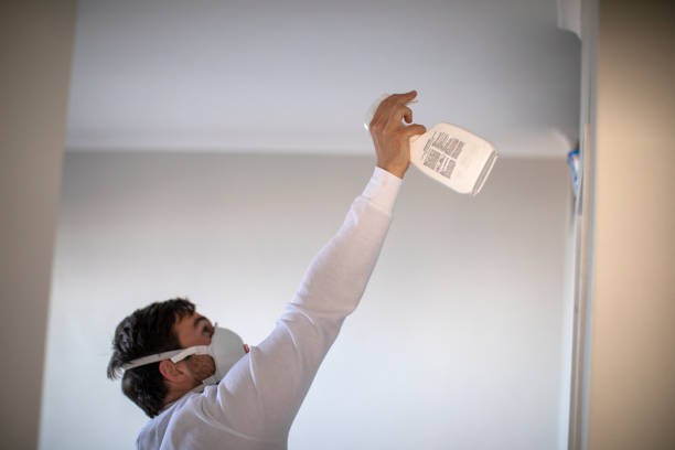 Best Commercial Mold Removal  in Winterville, GA