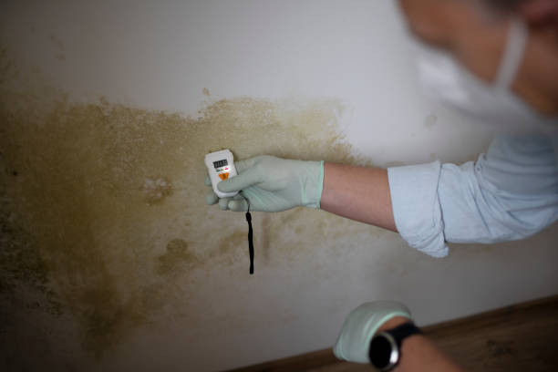 Crawl Space Mold Removal in Winterville, GA