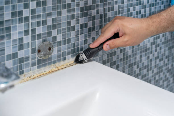 Best Same-Day Mold Removal  in Winterville, GA