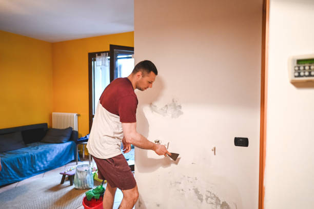 Best Affordable Mold Removal  in Winterville, GA